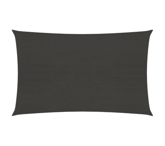 Voile D'ombrage 160 G/m² Anthracite 3x4 M Pehd
