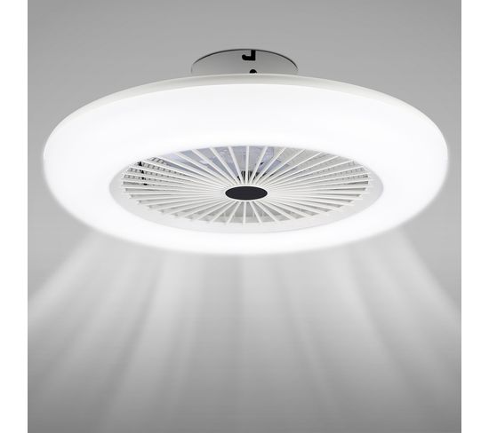 Ventilateur De Plafond LED Dimmable Avec Télécommande Pour Intérieur Ventilateur
