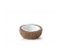 Noix Coco Water Dish