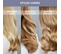 Sèche-cheveux Pro Expert 2200w - Cv8840c0