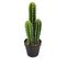 Cactus artificiel H. 40 cm NOMADE 