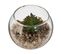 Mini Plante Artificielle Dans Pot En Verre D 6.5 Cm