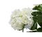 Plante Artificielle Hortensia Blanc En Pot H 60 Cm
