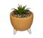 Petite Plante Artificielle Pot Sur Pied En Céramique D 8 Cm
