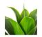 Plante Artificielle Aloe Vera En Pot H 34 Cm