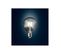 Ampoule LED Filament Globe E27 Dimmable 7 W Blanc Chaud