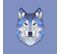Tableau Animaux Loup Bleu 50x50