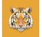 Tableau Animaux Tigre Orange 50x50