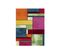 60x110 Tapis Design Rectangulaire Belis 21821-110 Multicolore