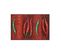 60x180 Tapis Moderne Rectangulaire Hotilli Kt Rouge