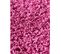 67x230 Tapis Moderne Rectangulaire Shaggy Simple Rose