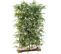 Plante Artificielle Haute Gamme Spécial Extérieur/haie Artificielle Bambou, Vert -185 X 50 X 120 Cm