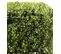 Plante Artificielle Haute Gamme Spécial Extérieur, Buis Carré Artificiel Couleur Vert - 65x40x40 cm