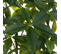 Plante Artificielle Arbre Pachira En Pot - Longueur 60 X Profondeur 60 X Hauteur 180 Cm