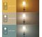 Ampoule LED Flamme, Culot E14, 6w Cons. (40w Eq.), Cct Température De Lumière Variable 2700k - 6000k