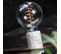 Ampoule LED spirale Globe E27  Blanc chaud