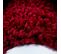 Shaggy - Tapis à Bordures - Rouge 120 X 170 Cm