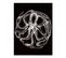 Curiosity - Signature Poster - Octopus - 40x60 Cm
