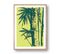 Nature - Signature Poster - Palm - 30x40 Cm