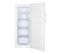 Congélateur armoire SIGNATURE SCA161ENFW- 161L