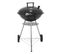 Barbecue charbon AYA YH22018F