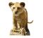 Figurine En Carton  Disney Simba Le Roi Lion Hauteur 87 Cm