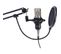 Microphone Usb A Condensateur Pour Enregistrement, Streaming Et Podcast - Stm200-plus