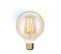 Ampoule LED globe G95 E27 iDual Ambre