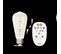 Kit ampoule Edison ST64 E27 iDual Transparent
