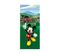 Poster Pour Porte Mickey Mouse Et Ses Amis Donald Et Pluto De Disney Intisse 90x202 Cm