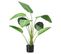 Plante Artificielle Strelitzia 120 Cm En Pot Vert