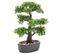 Mini bonsaï Ficus artificiel sur plaque marronne 43 cm