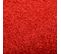 Paillasson Lavable Rouge 90x150 Cm