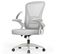 Chaise de bureau chaise de bureau ergonomique avec accoudoir rabattable à 90° support lombaire gris
